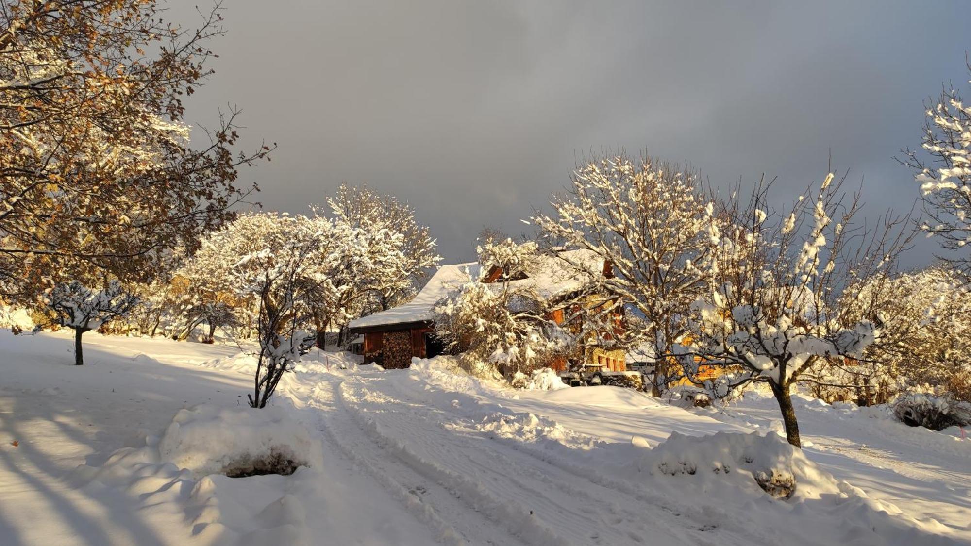 Chalet Mounette Ski Sauna Lac Embrun Puy-Sanieres Esterno foto